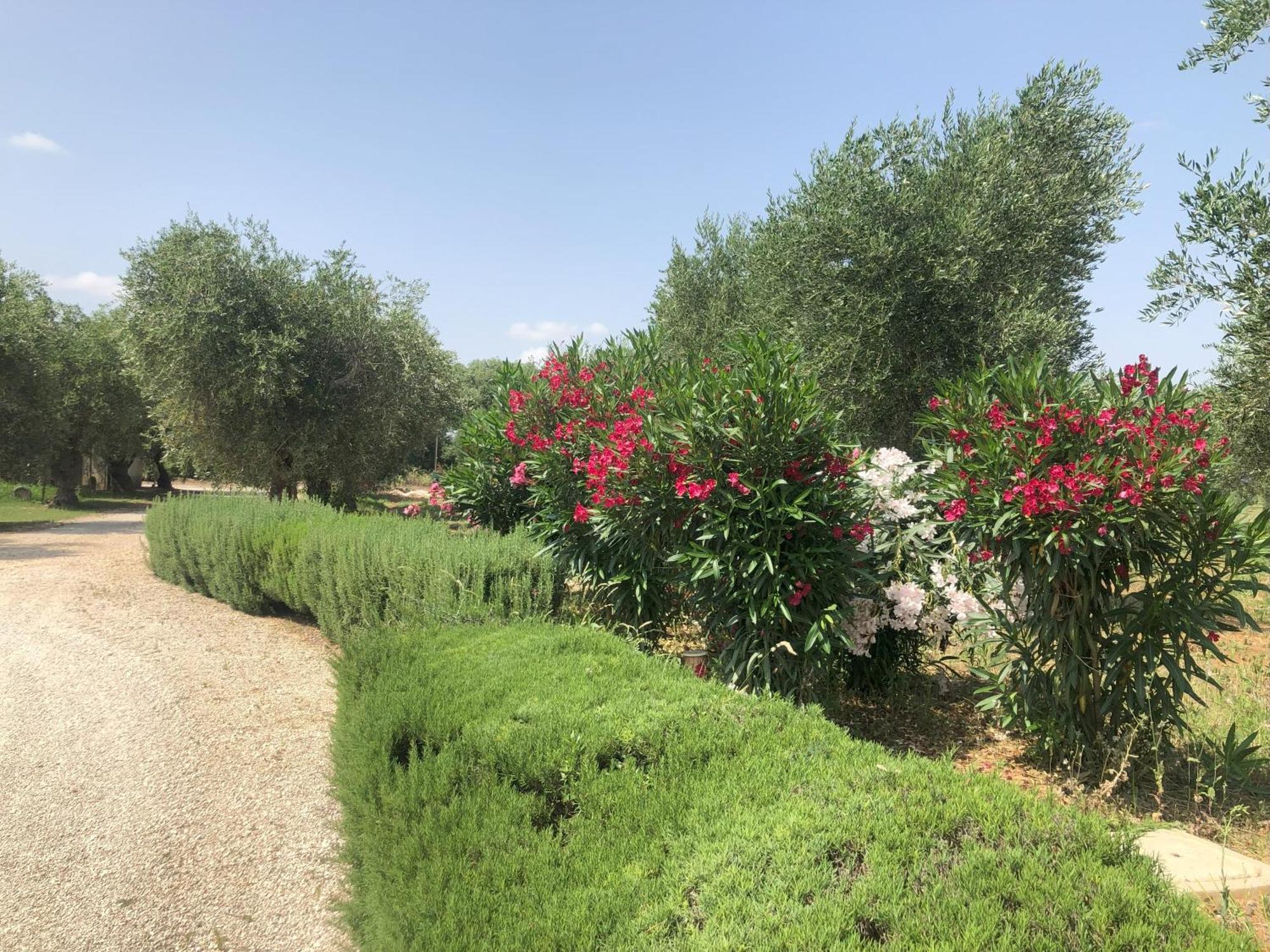 Villa Francesca - Camere Con Giardino Castellaneta Exteriör bild